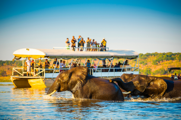 voyage sur mesure tanzanie safari