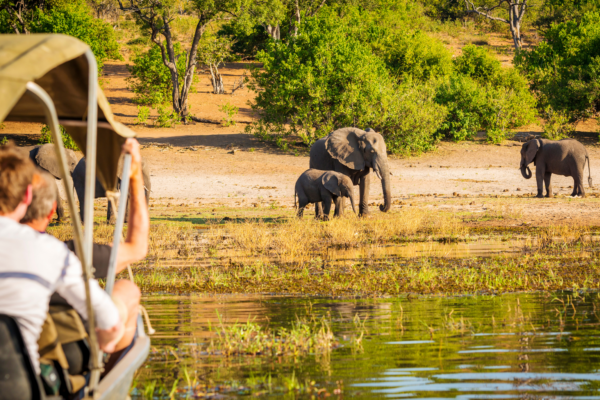 voyage sur mesure tanzanie safari