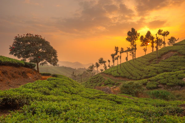 evasion-inde-yon